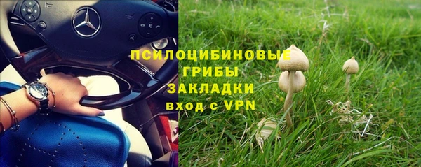 спиды Алексеевка