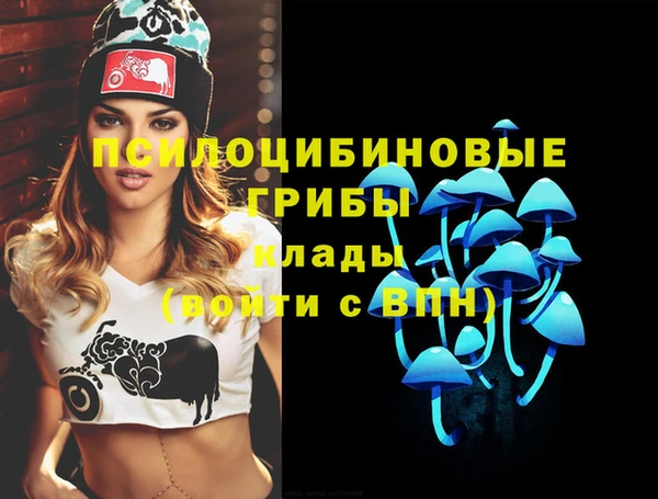 спиды Алексеевка
