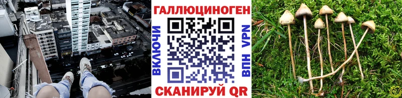 Псилоцибиновые грибы MAGIC MUSHROOMS  Ачинск 